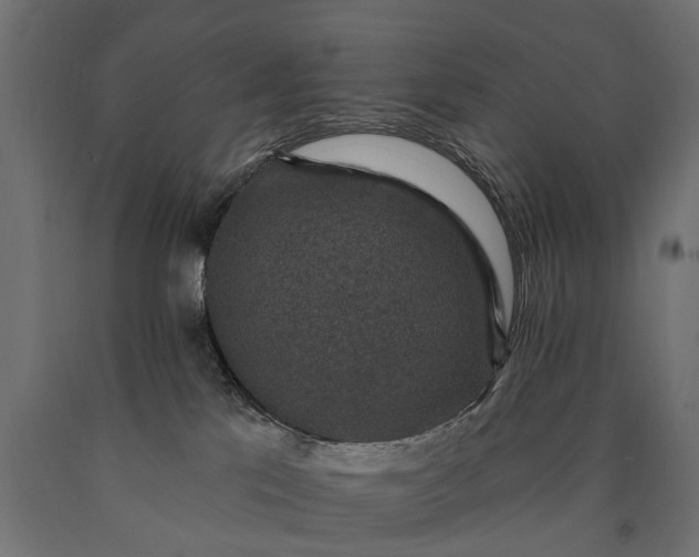 X0000090730041200708031533