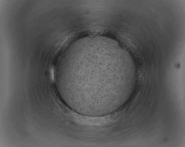 X0000090730042200708031533