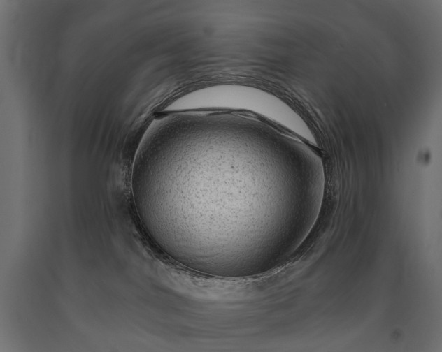 X0000090730044200708031533