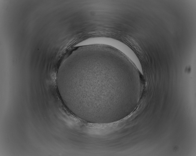 X0000090730045200708031533