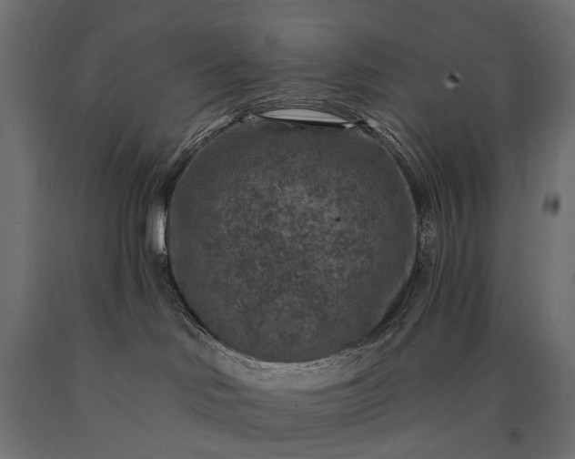 X0000090730046200708031533