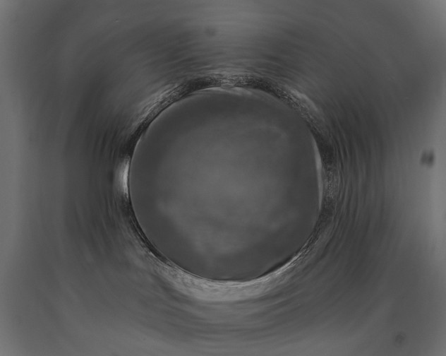 X0000090730047200708031533