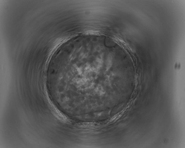 X0000090730049200708031533