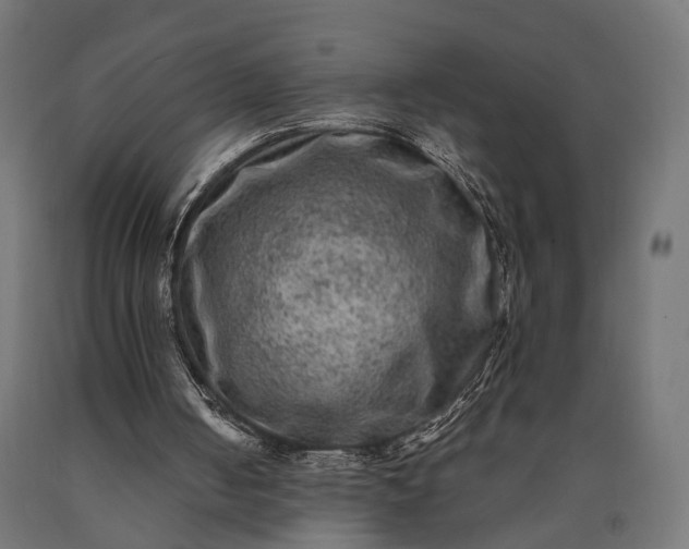 X0000090730050200708031533