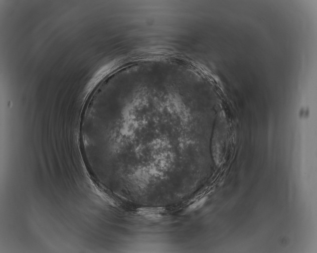 X0000090730051200708031533