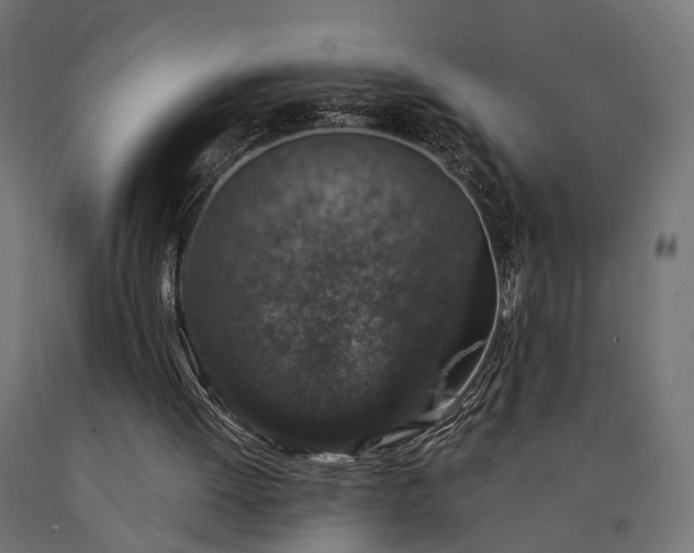 X0000090730052200708031533