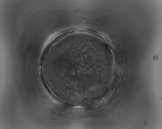 X0000090730053200708031533