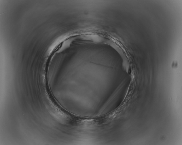 X0000090730054200708031533