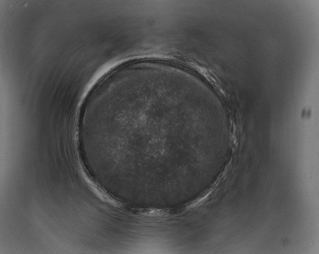 X0000090730056200708031533