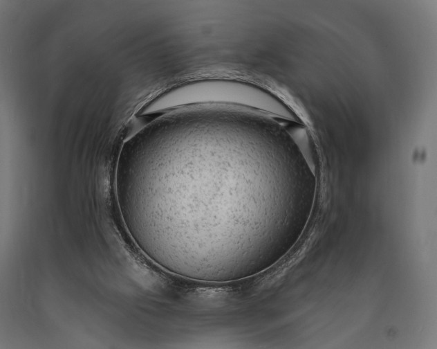 X0000090730057200708031533