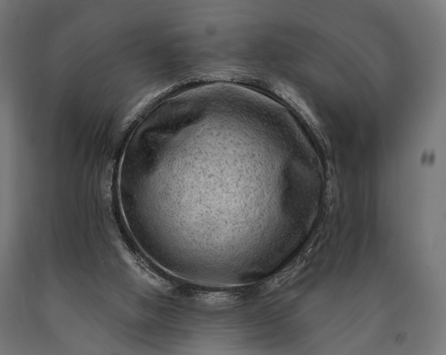 X0000090730058200708031533