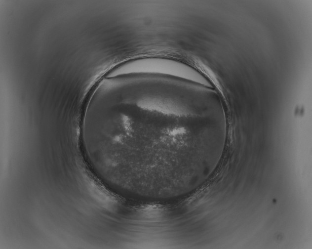 X0000090730059200708031533