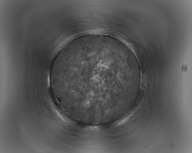 X0000090730061200708031533