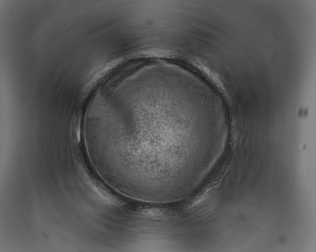 X0000090730062200708031533