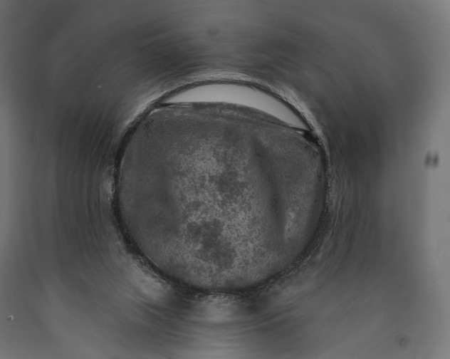 X0000090730063200708031533