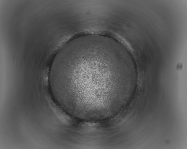 X0000090730065200708031533