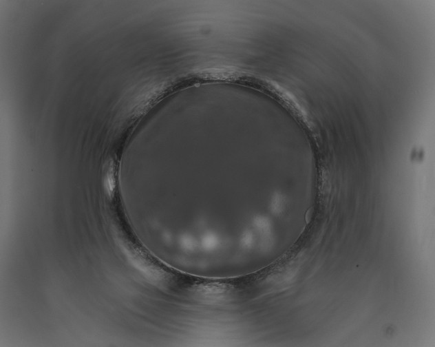 X0000090730069200708031533