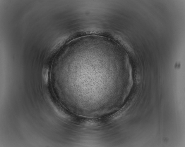 X0000090730070200708031533