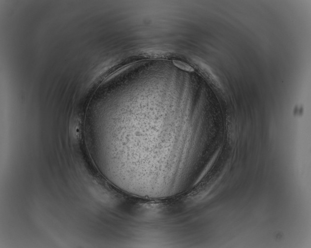 X0000090730071200708031533