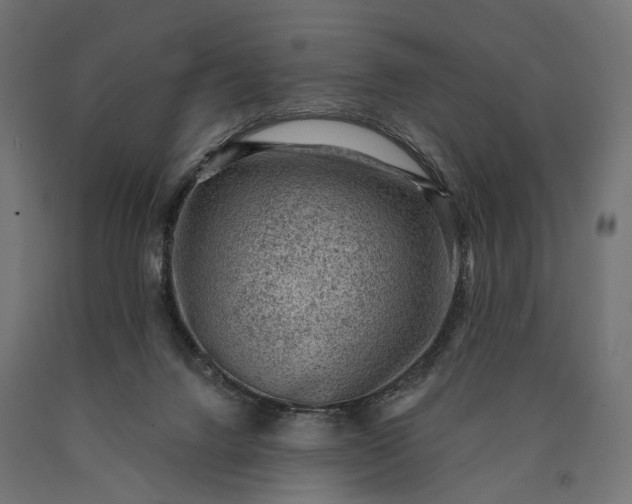 X0000090730072200708031533