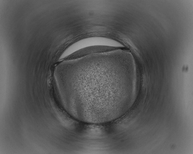 X0000090730073200708031533