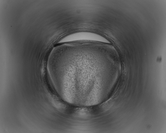 X0000090730074200708031533