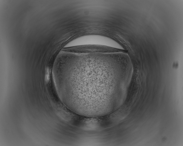 X0000090730075200708031533