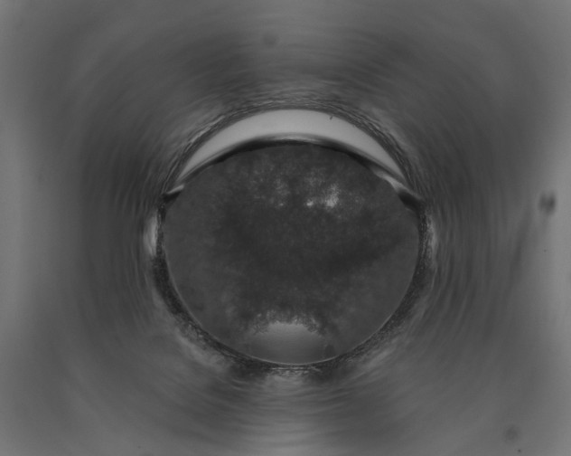 X0000090730076200708031533