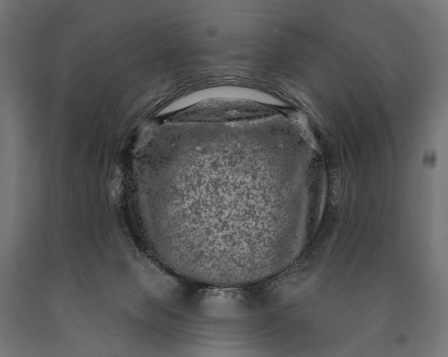 X0000090730077200708031533