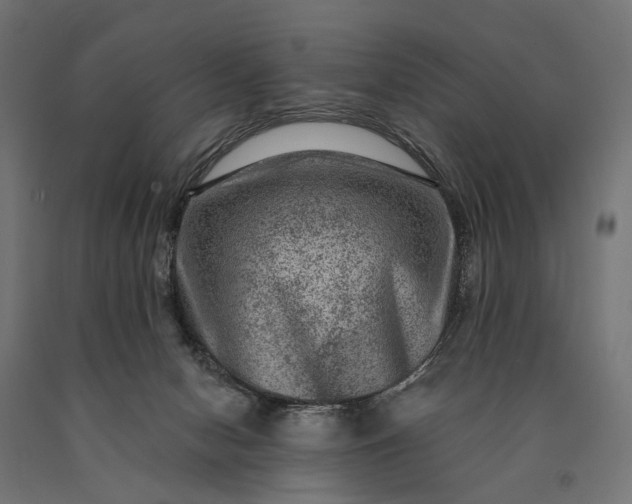 X0000090730078200708031533