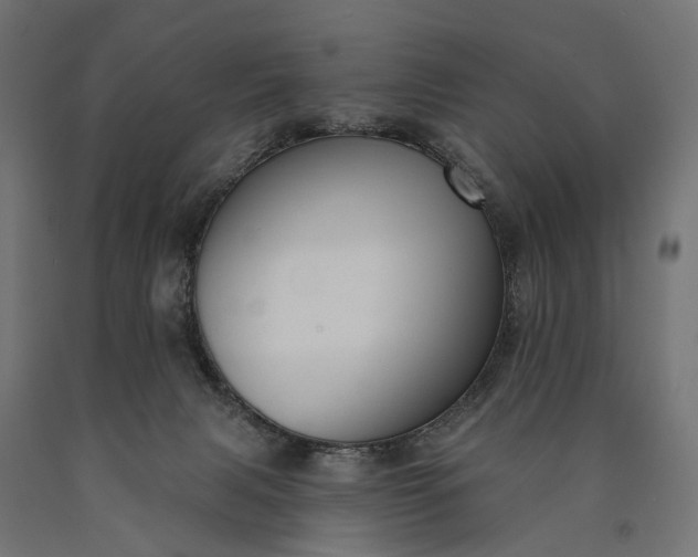 X0000090730079200708031533