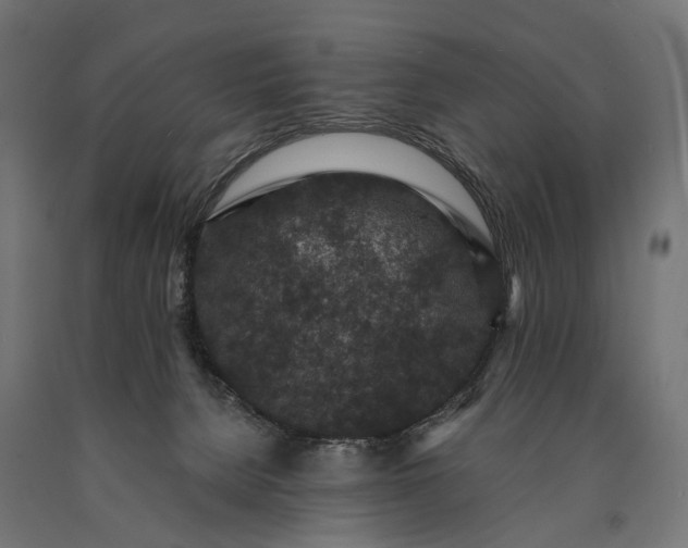 X0000090730080200708031533