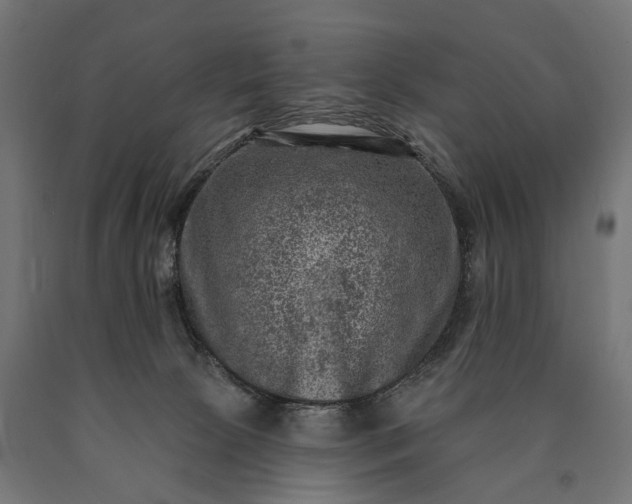 X0000090730081200708031533