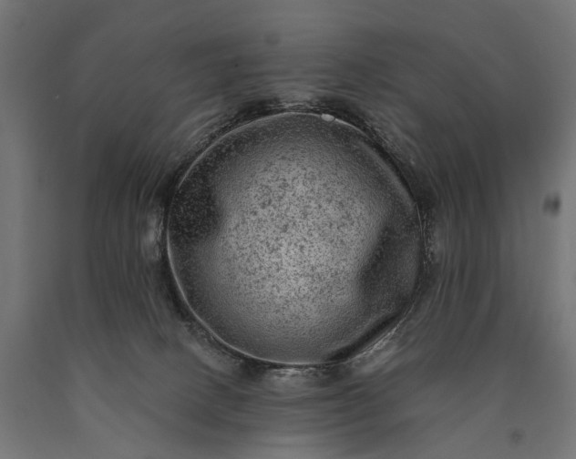 X0000090730082200708031533