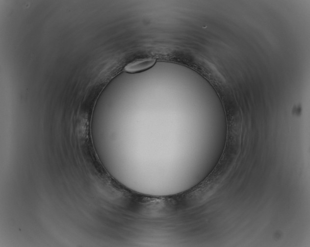 X0000090730083200708031533