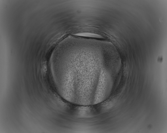 X0000090730085200708031533