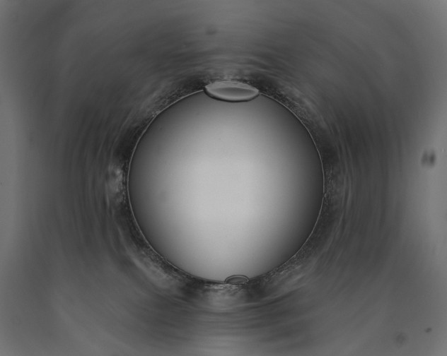 X0000090730087200708031533