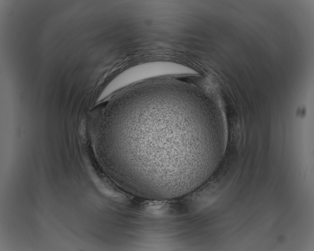 X0000090730088200708031533