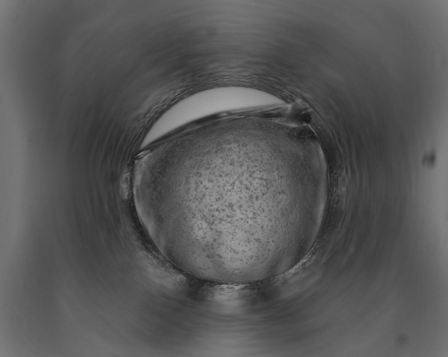 X0000090730090200708031533