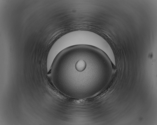 X0000090730092200708031533