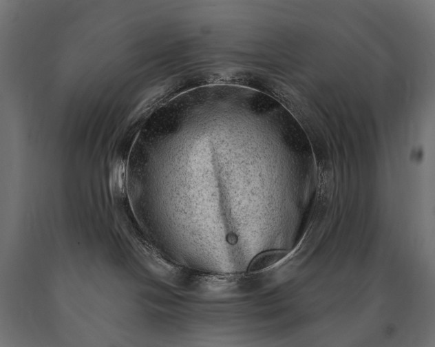 X0000090730094200708031533