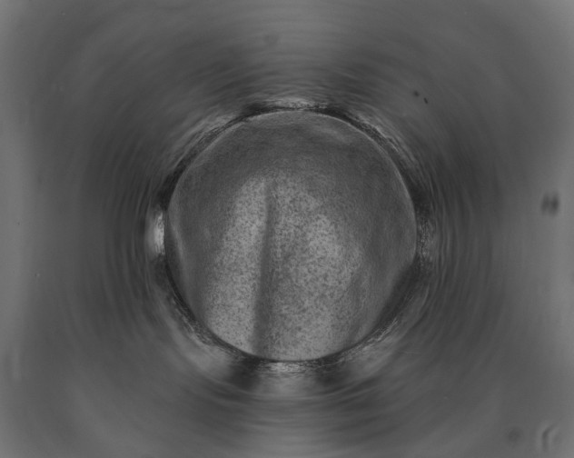 X0000090730095200708031533