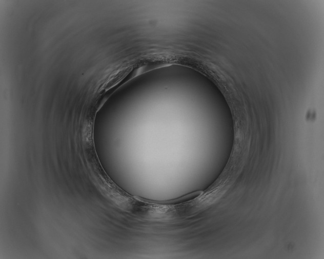 X0000090730096200708031533