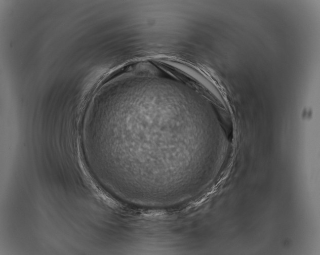 X0000090730097200708031533