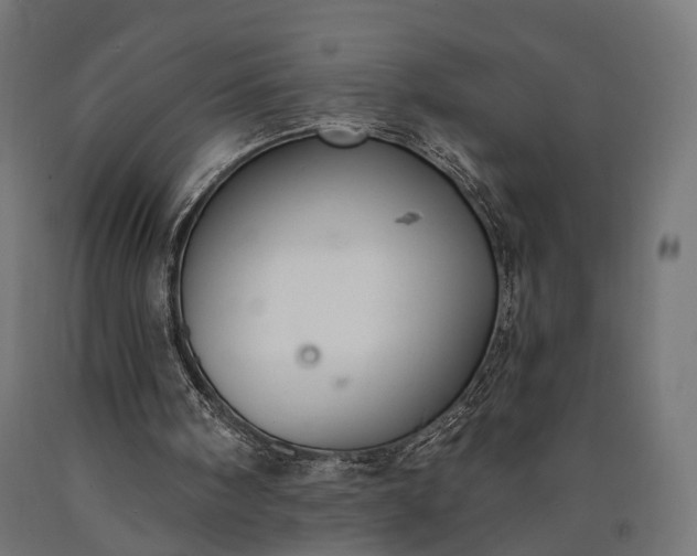 X0000090730098200708031533