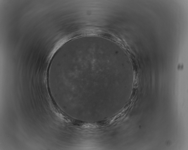 X0000090730099200708031533