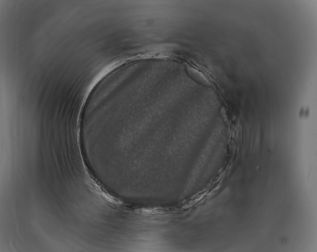 X0000090730100200708031533