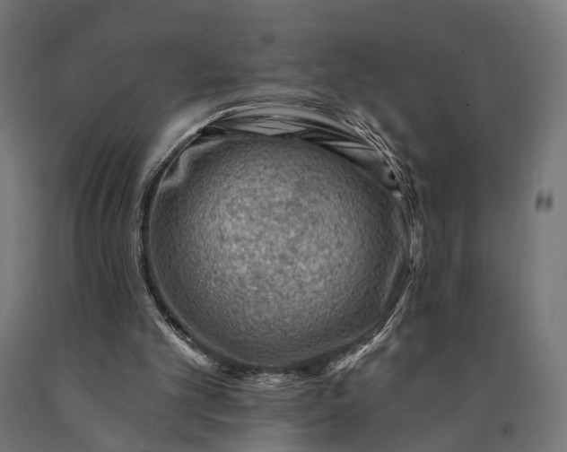 X0000090730101200708031533