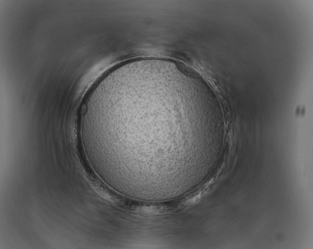 X0000090730103200708031533