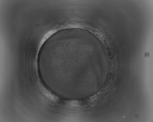 X0000090730104200708031533